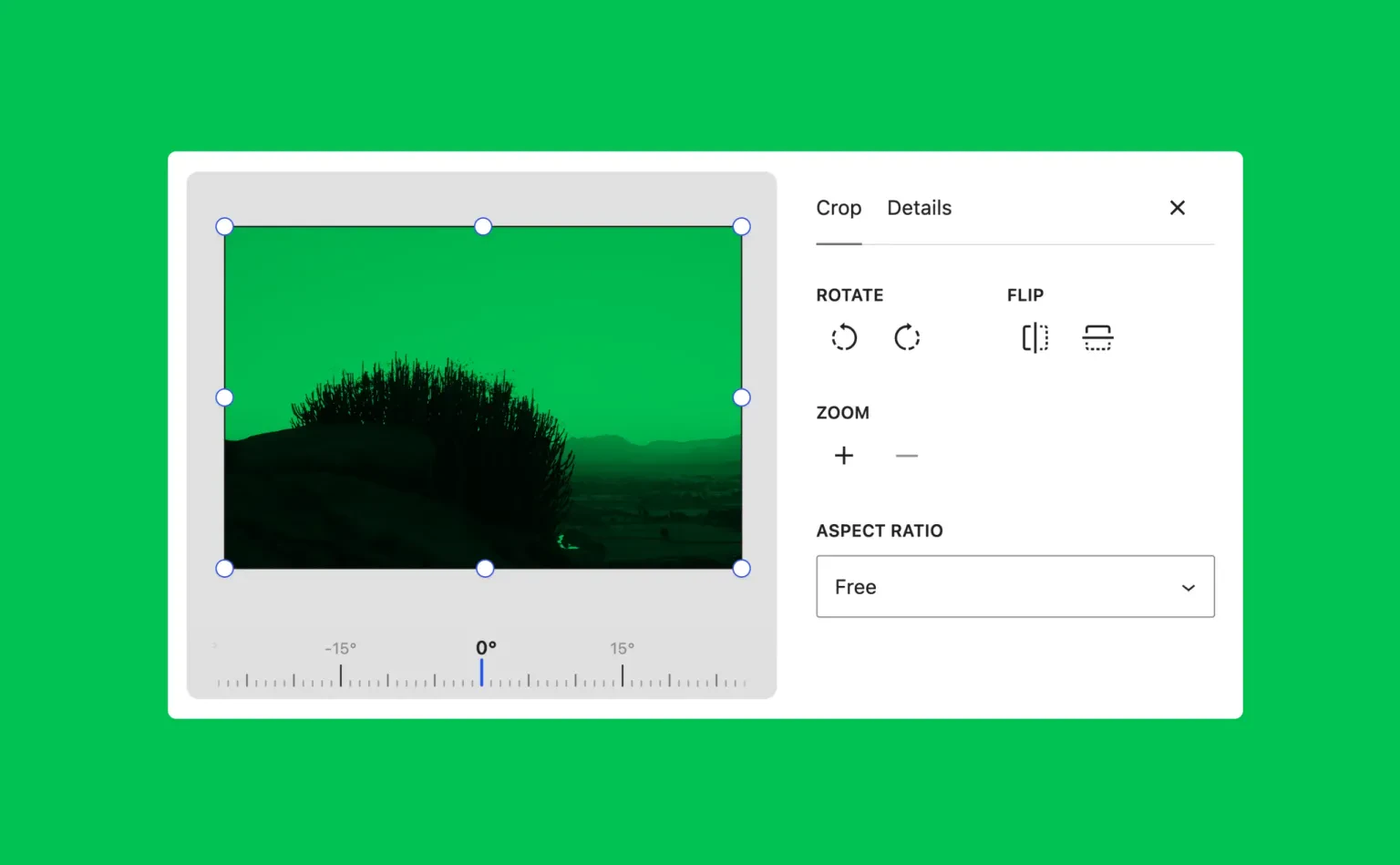 Official WordPress 7.1 media editor showing crop, rotation, flip, zoom, and aspect ratio controls